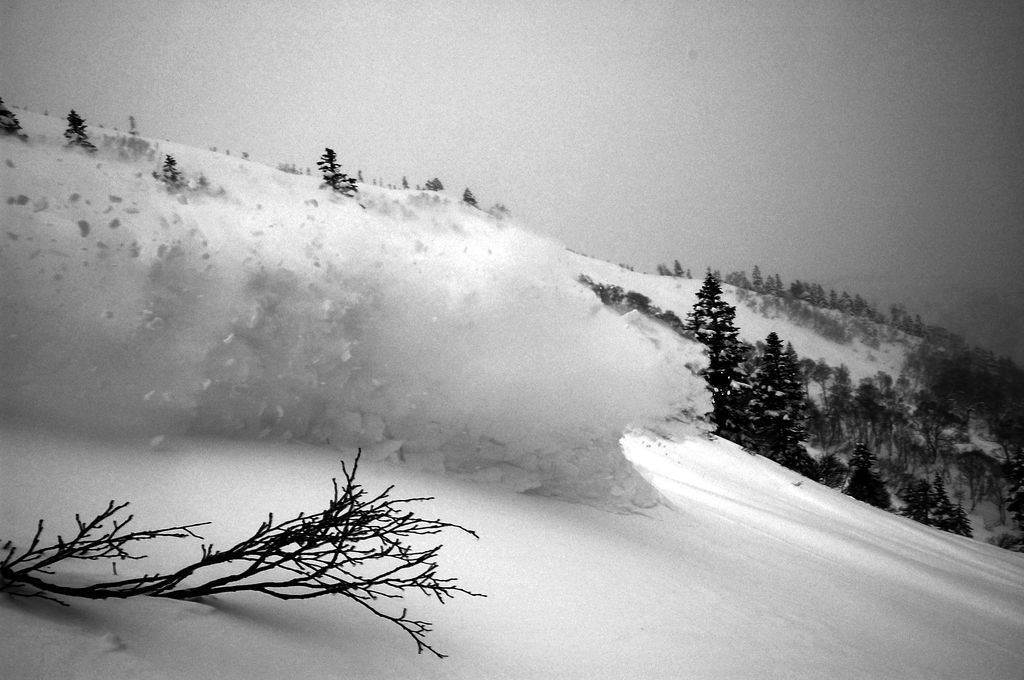 2008.01.01_14.16.37_178_f10.0_400_24mm-bw.jpg