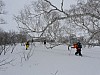 Thumbnail of P1010183.JPG