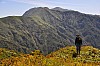 Thumbnail of 36_GI_YomogiToge.jpg
