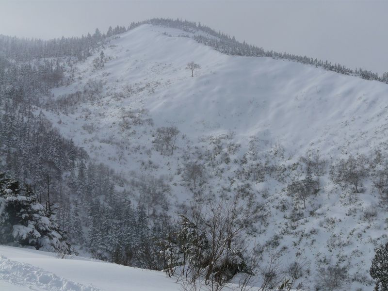 P1080718.JPG