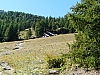 Thumbnail of P1110567.JPG