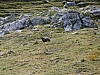 Thumbnail of P1110650.JPG