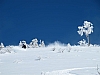 Thumbnail of 20110103_18_CL.JPG