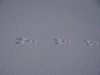 Thumbnail of 20120101_08.JPG