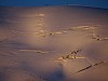 Thumbnail of DSC00275.JPG