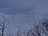 Thumbnail of DSC01295.JPG