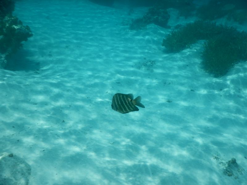DSCN0140.JPG