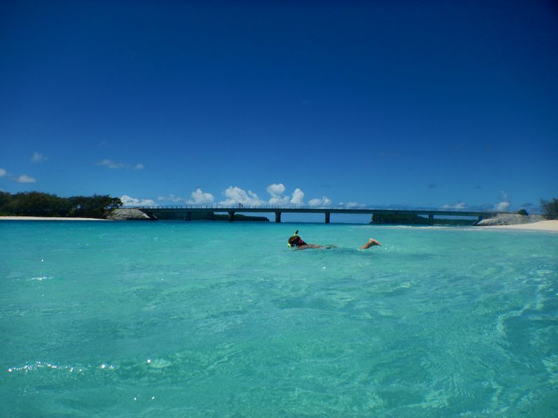 DSCN0397.JPG