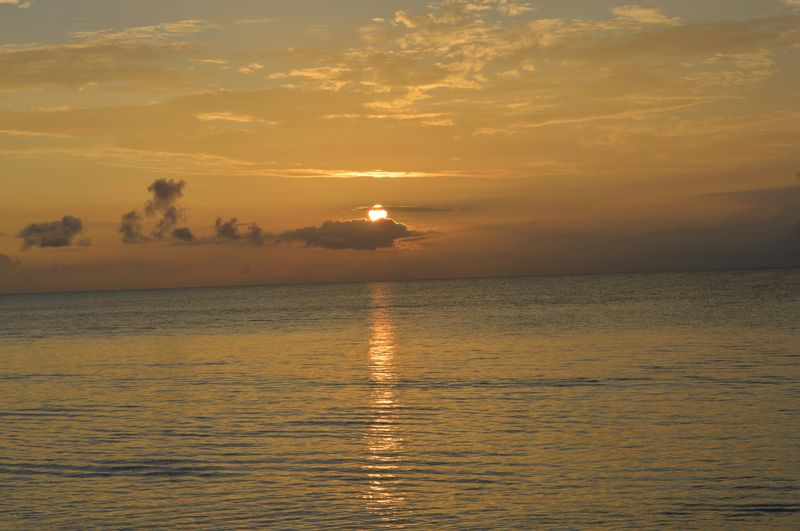 DSC_0375.JPG